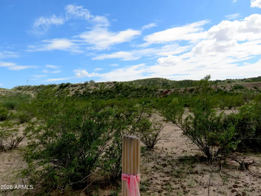 1593 S Lonesome Road #22, Saint David, AZ 85630 - #2