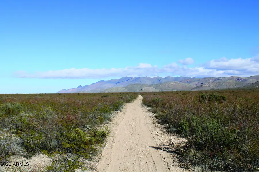 4.79 Acres La Defensa Lane #184, Douglas, AZ 85607 - #3