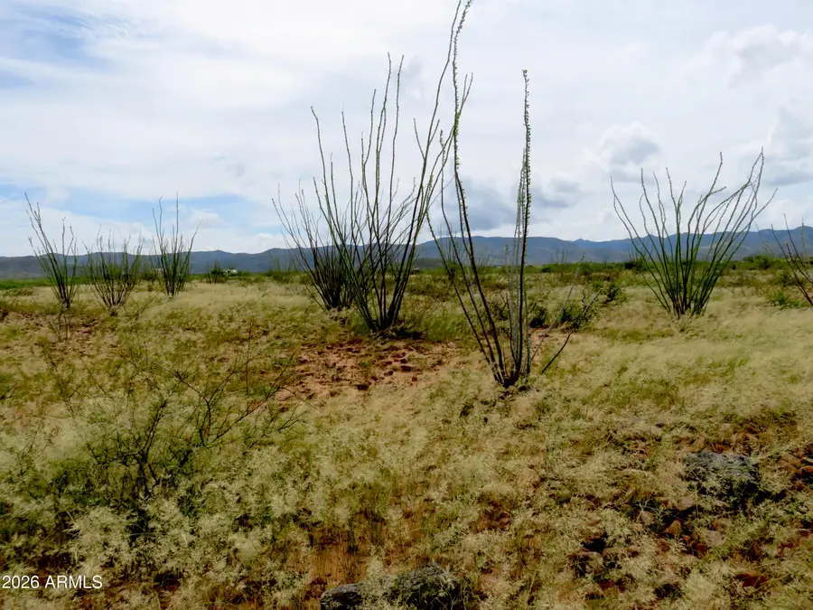 3542 S Lombardi Lane, Tombstone, AZ 85638 - #3