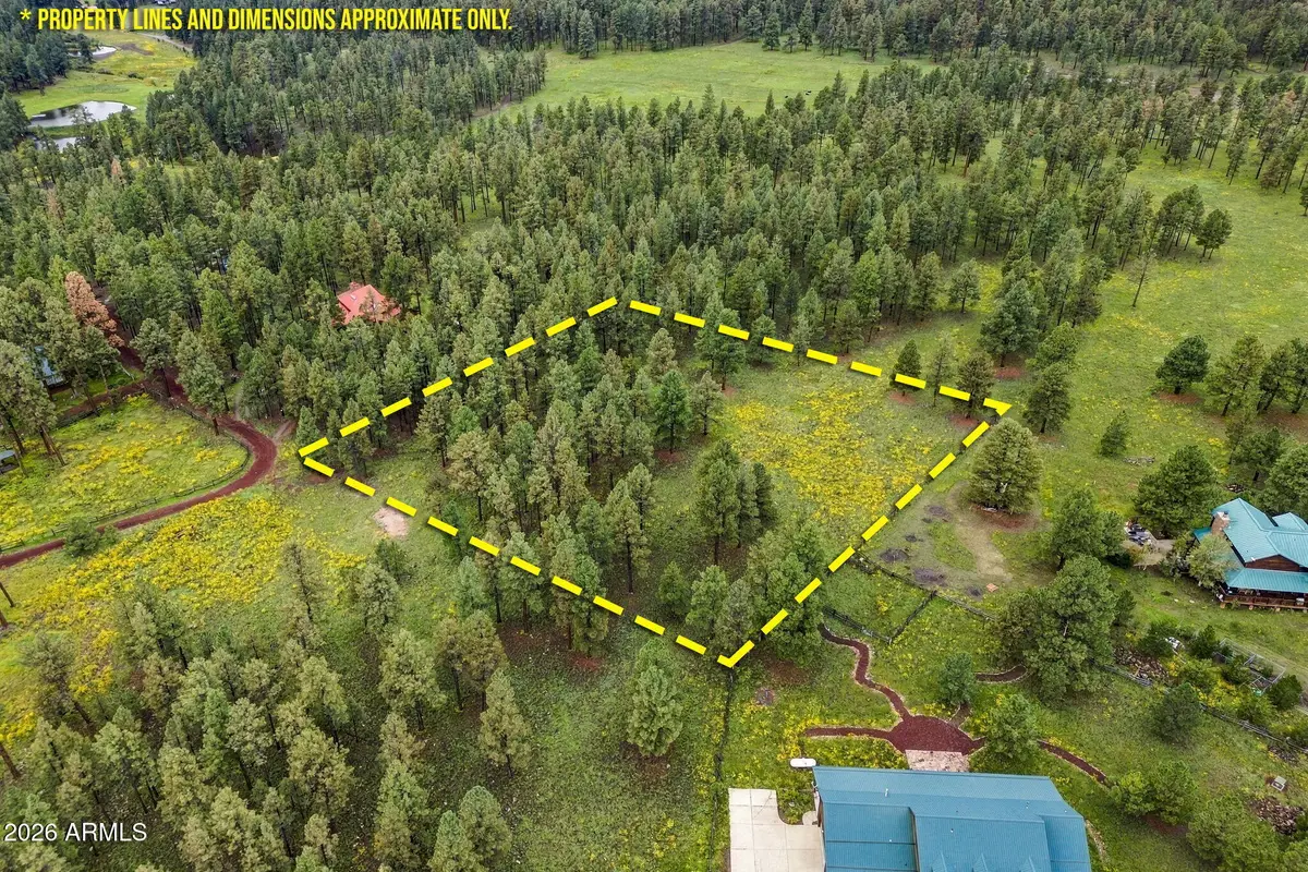 38650 State Route 373 --, Greer, AZ 85927 - #1