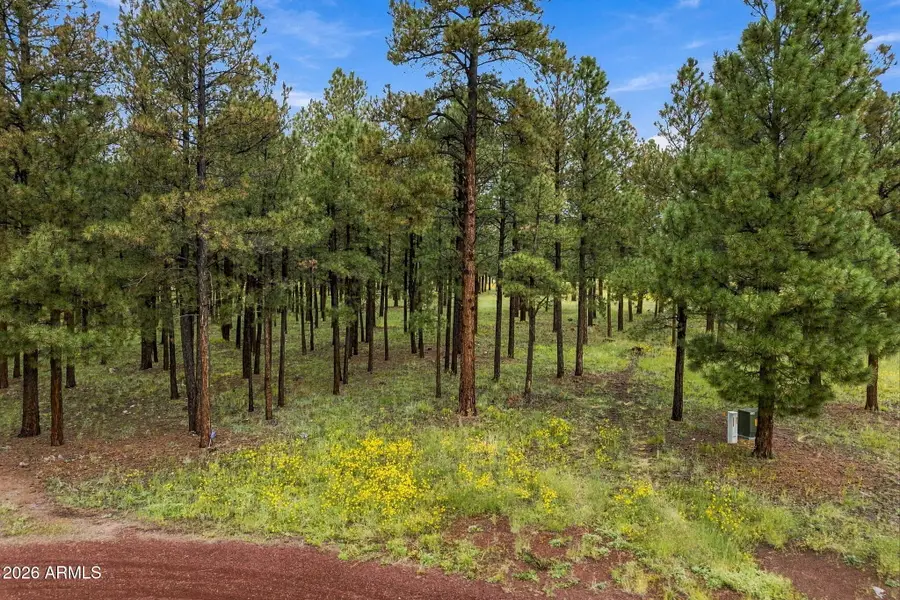 38650 State Route 373 --, Greer, AZ 85927 - #2