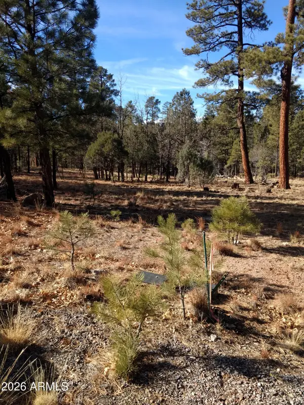 4357 Juniper Drive #100, Happy Jack, AZ 86024