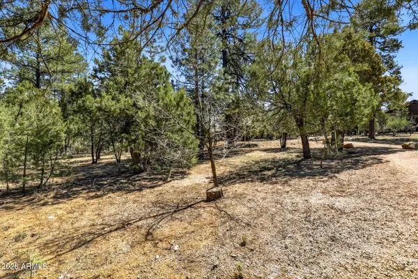 5039 Winter Hawk Court #69, Lakeside, AZ 85929