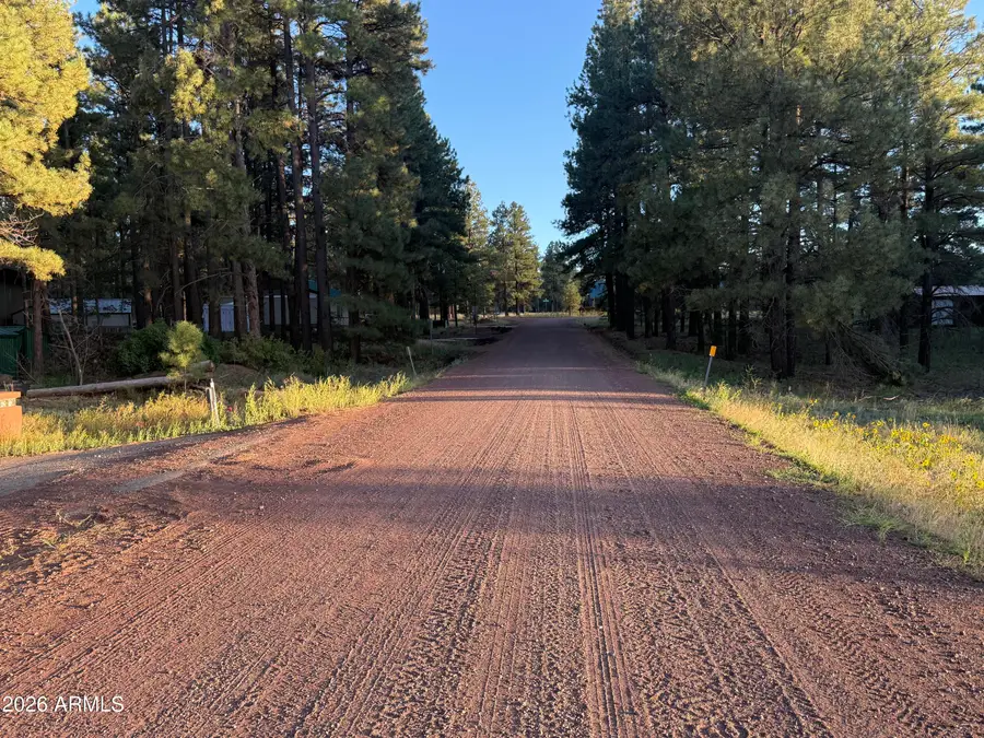 184 High Point Drive #C, Mormon Lake, AZ 86038 - #2
