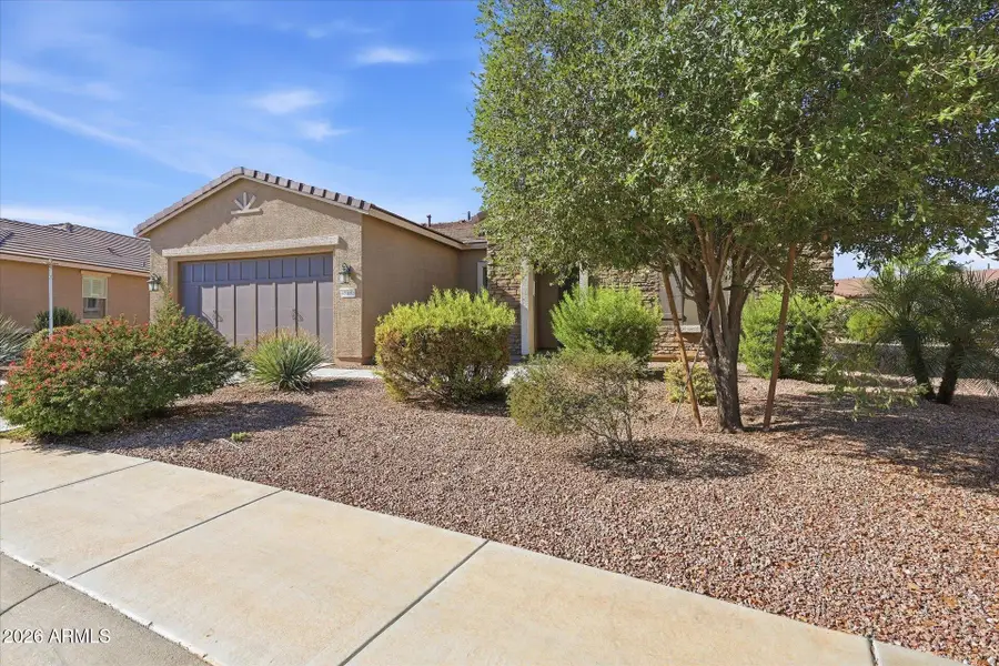 41891 W Canasta Lane, Maricopa, AZ 85138 - #3