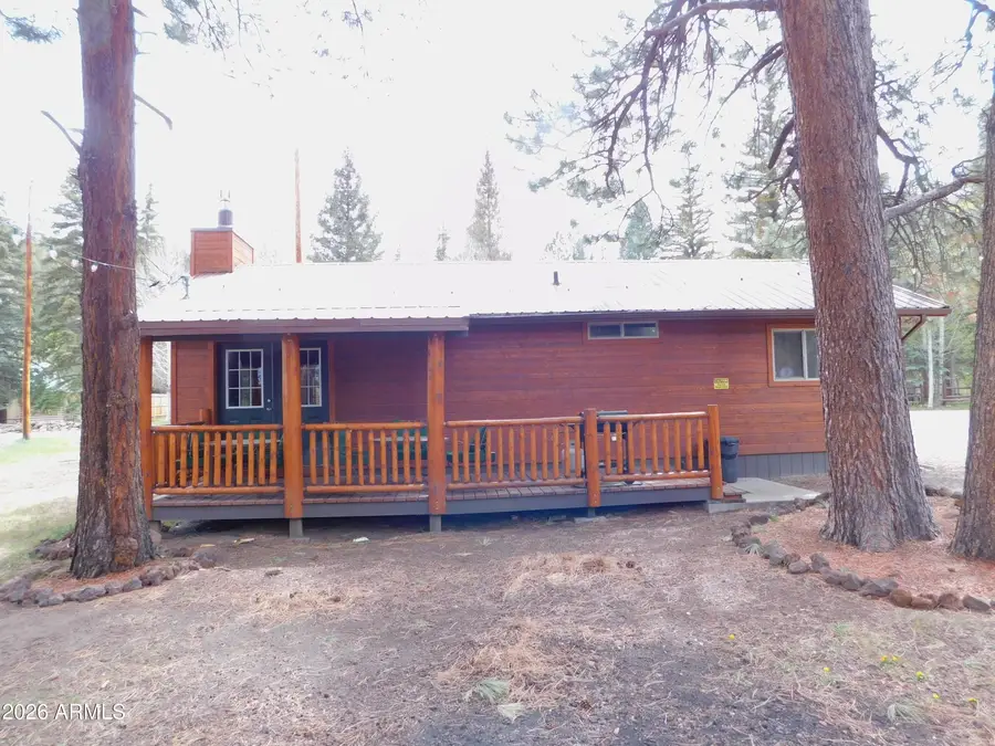 32 1009 Unit 10 (cabin 90) --, Greer, AZ 85927 - #3