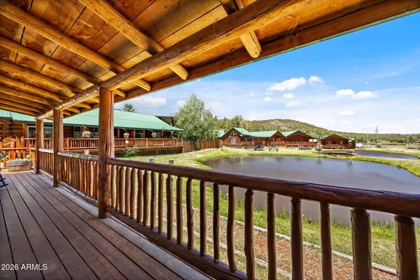 80 1120 Unit 205 (cabin 256) --, Greer, AZ 85927