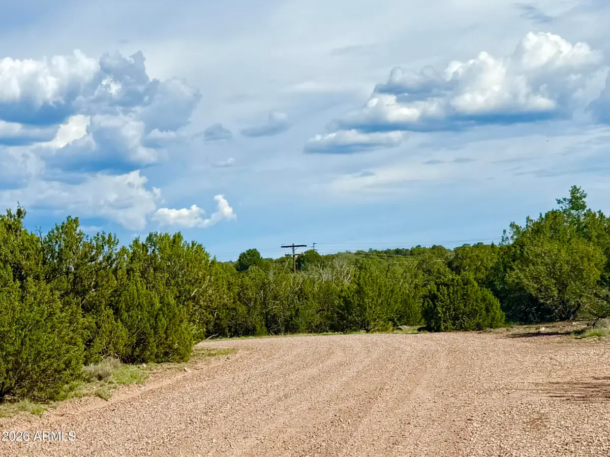 8322 Navajo Drive, Show Low, AZ 85901 - #1