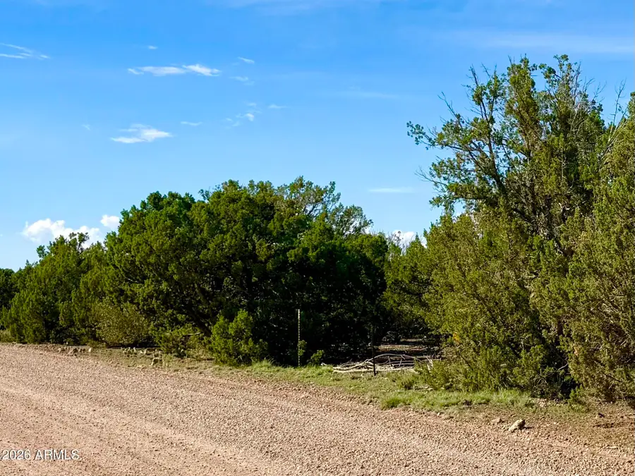 8322 Navajo Drive, Show Low, AZ 85901 - #3