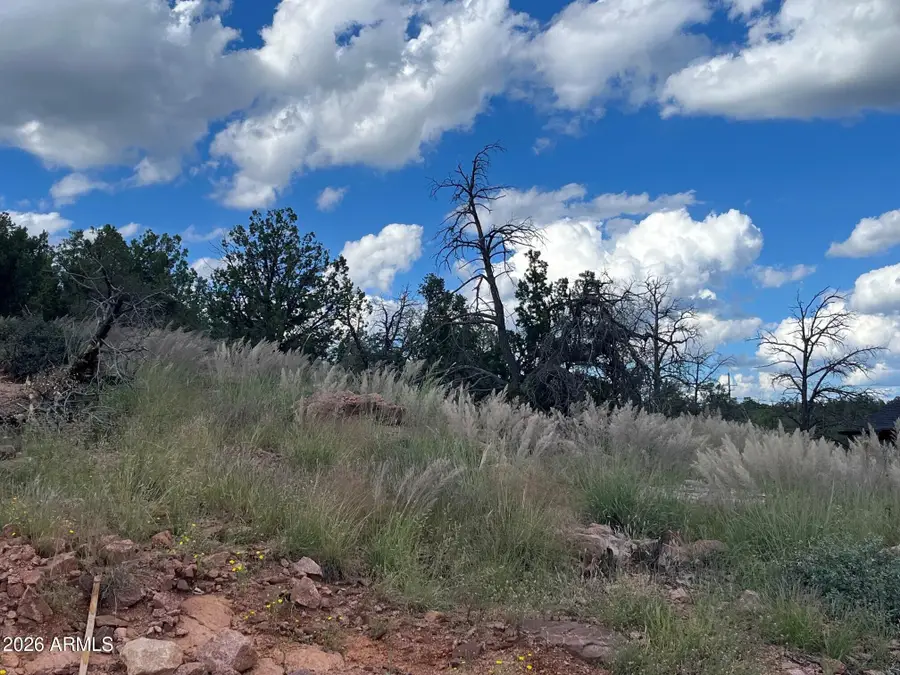 521 N Peak Loop #32, Payson, AZ 85541 - #2