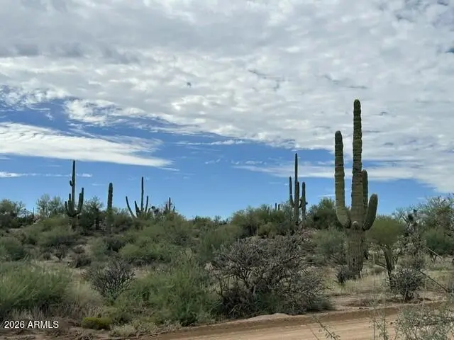 0 N 136th Street #2, Scottsdale, AZ 85262 - #3