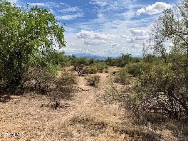 303xx N 160th Street, Scottsdale, AZ 85262 - #2