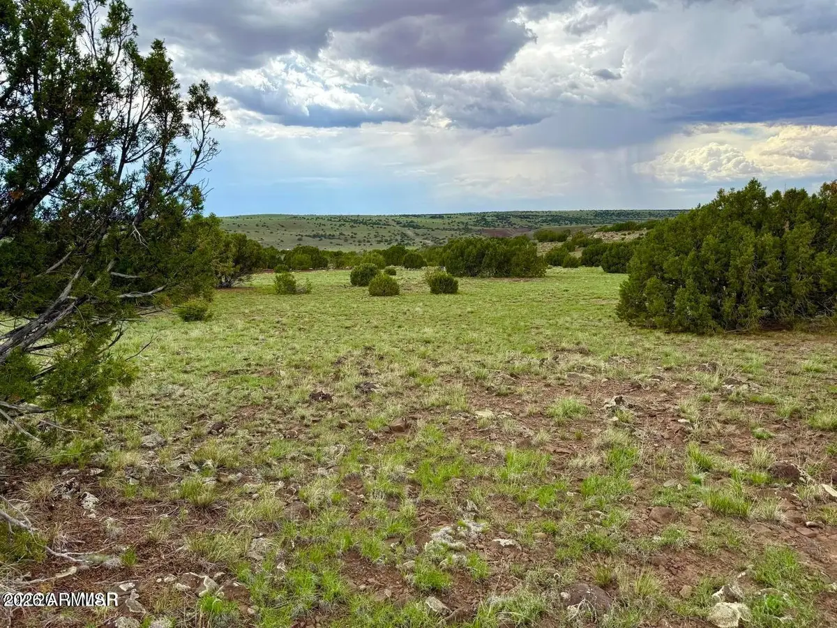 116 Co Rd 8127 --, Concho, AZ 85924 - #1