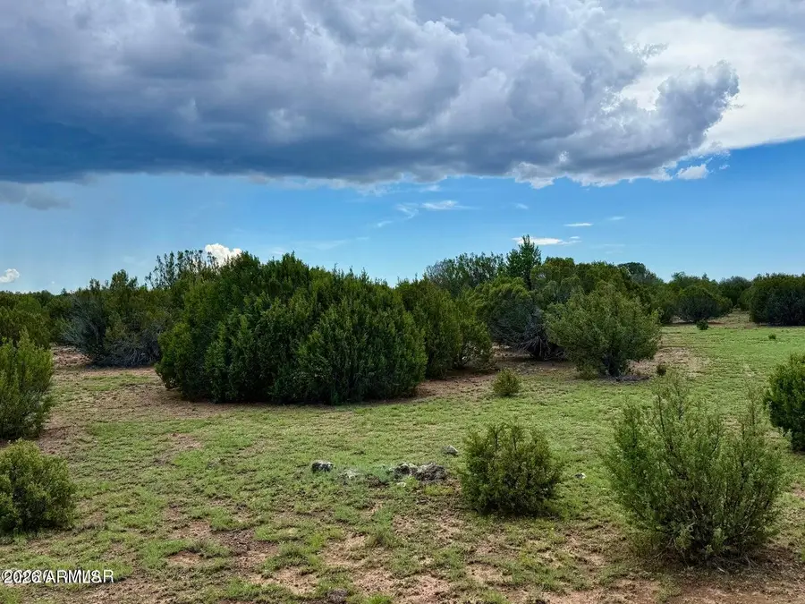 116 Co Rd 8127 --, Concho, AZ 85924 - #3