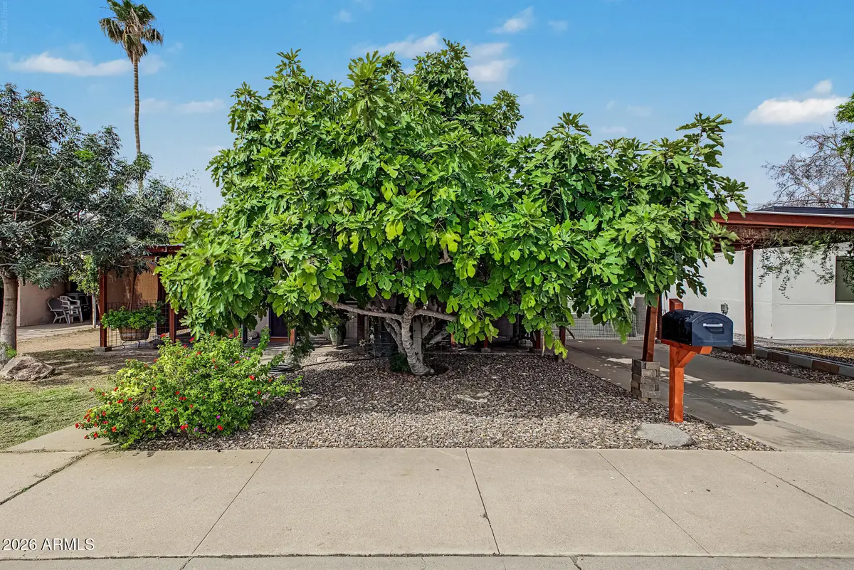 208 N Horne --, Mesa, AZ 85203 - #1