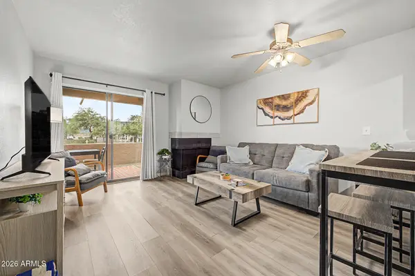 1065 W 1st Street #106, Tempe, AZ 85281