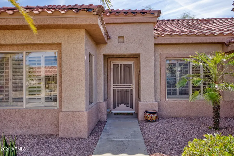 16143 W Desert Winds Drive, Surprise, AZ 85374 - #3