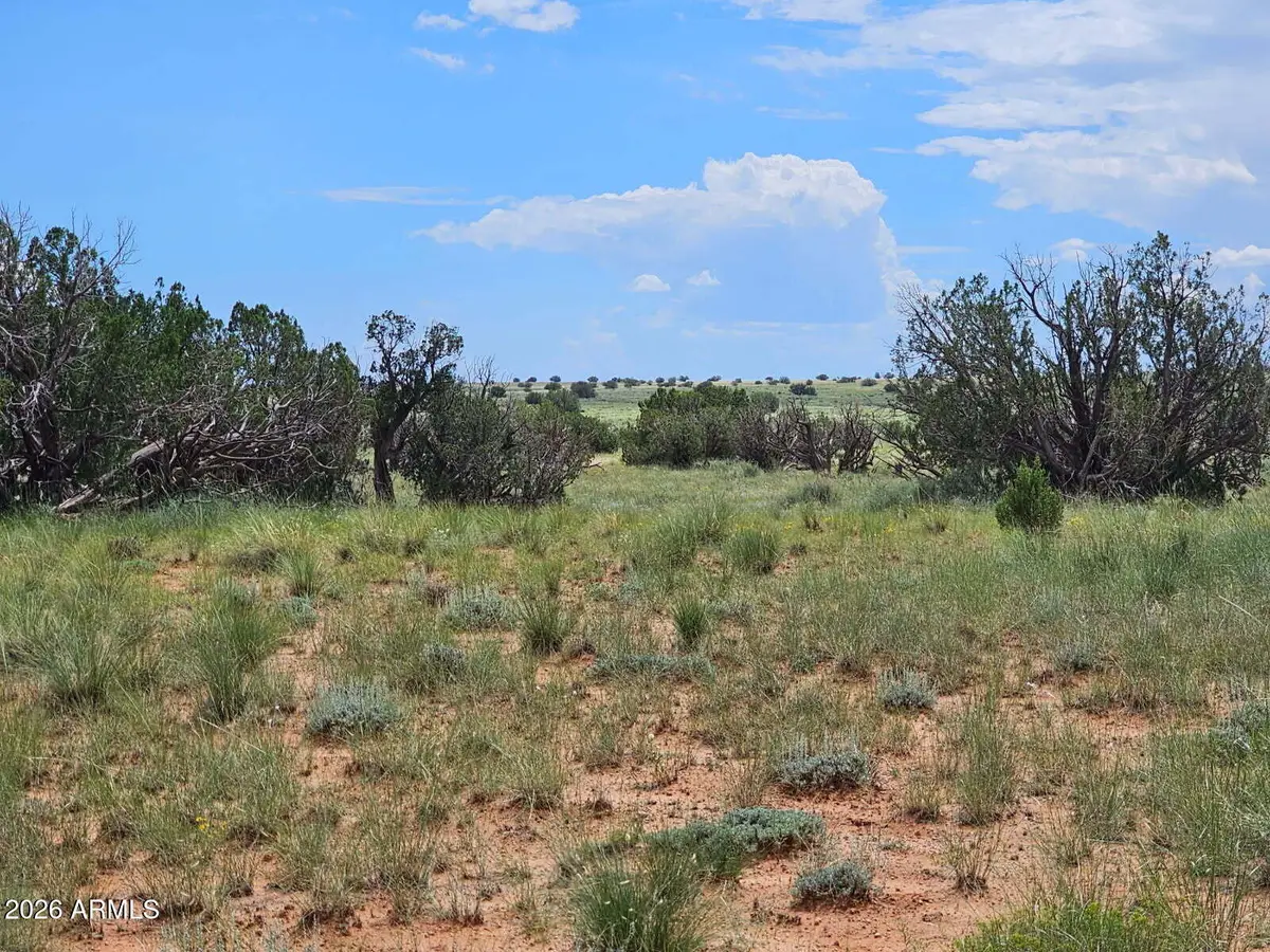 1924 Hutch Road #39, Heber, AZ 85928 - #1