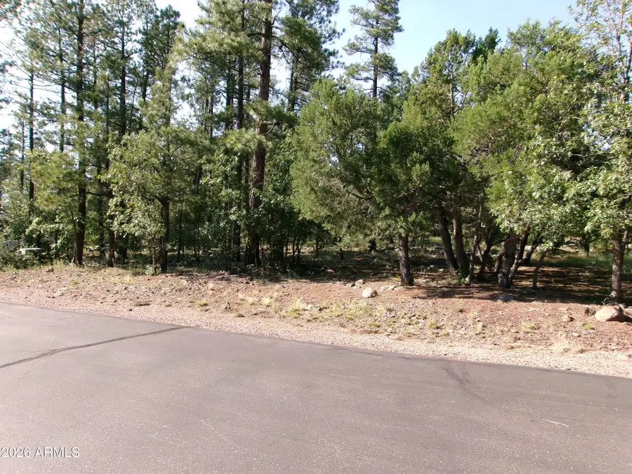 301 E Huckleberry Lane #032/033/ 034/035/036, Show Low, AZ 85901 - #3