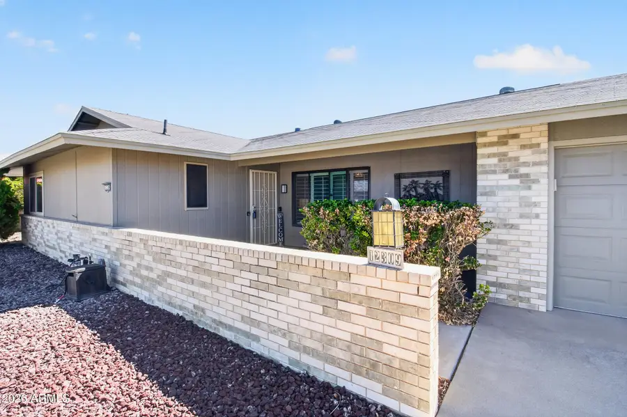 12309 W Mango Court, Sun City West, AZ 85375 - #3