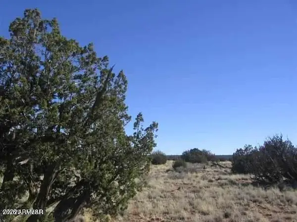 Lot 537 Chevelon Canyon Ranch Lot 537 -- #537, Heber, AZ 85928