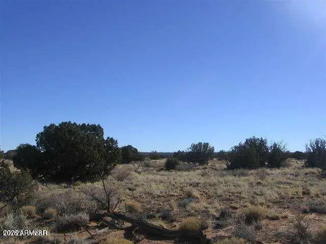 Lot 537 Chevelon Canyon Ranch Lot 537 -- #537, Heber, AZ 85928 - #2