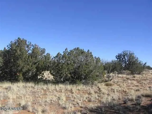 Lot 537 Chevelon Canyon Ranch Lot 537 -- #537, Heber, AZ 85928 - #3