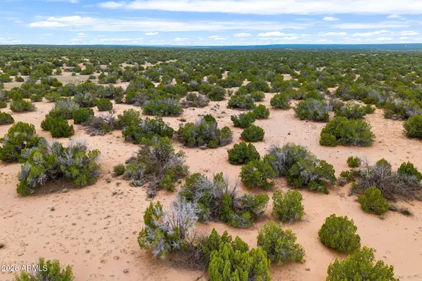 Lot 3 Witch Well Ranches -- #3, St Johns, AZ 85936