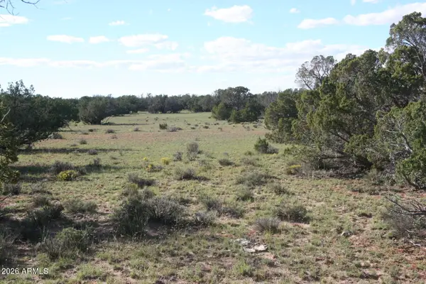 TBD 7230-002 --, St Johns, AZ 85936