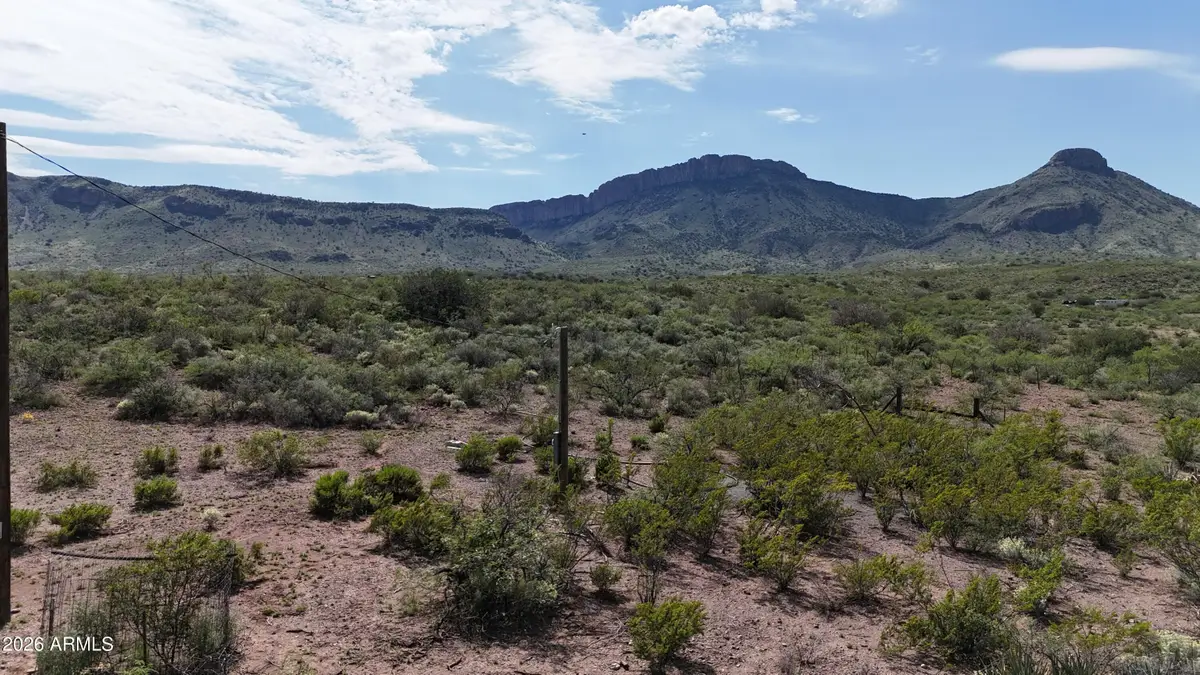 40 ac E Wildcat Road #141, Douglas, AZ 85607 - #1