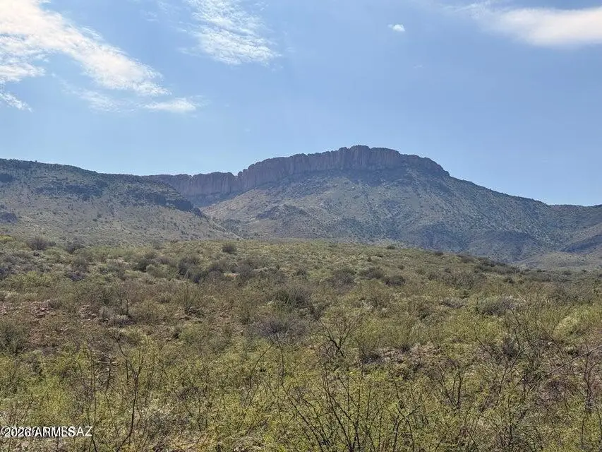 40 ac E Wildcat Road #141, Douglas, AZ 85607 - #2