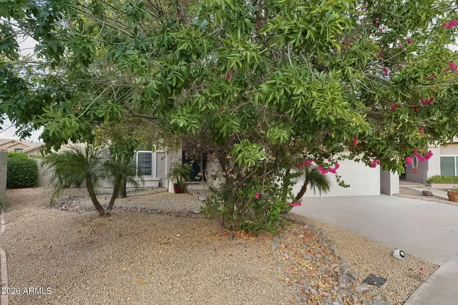 176 W Calle Monte Vista, Tempe, AZ 85284 - #2