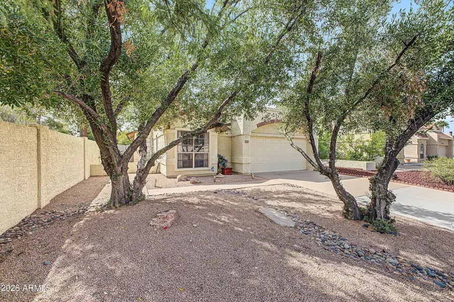 1229 W Calle Del Norte --, Chandler, AZ 85224 - #3