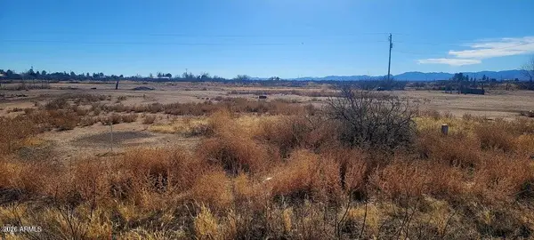 Lot 13 W Swisshelm Trail #13, Elfrida, AZ 85610