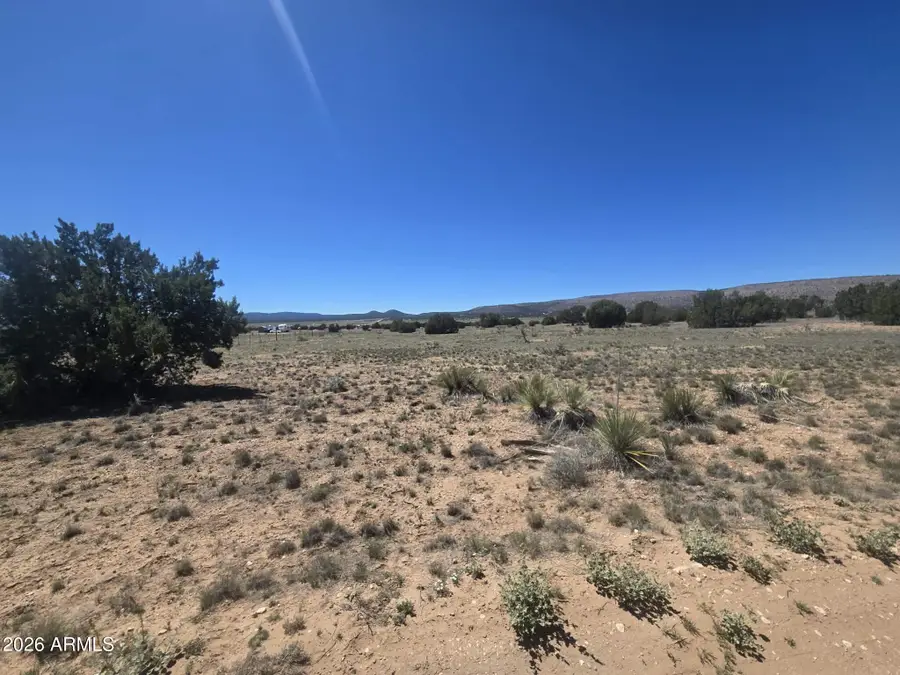53308 N Biltmore Drive #448, Seligman, AZ 86337 - #2