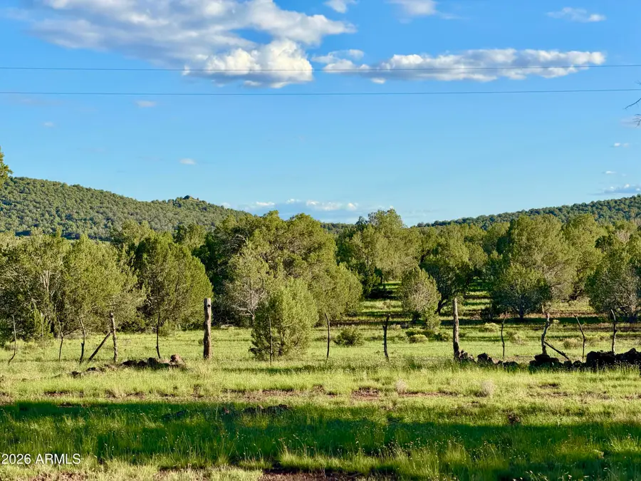 4727 W Cedar Street, Ash Fork, AZ 86320 - #2