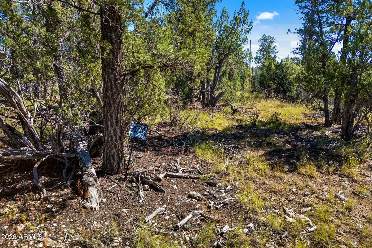 1948 Elk Road #029E, Heber, AZ 85928 - #1