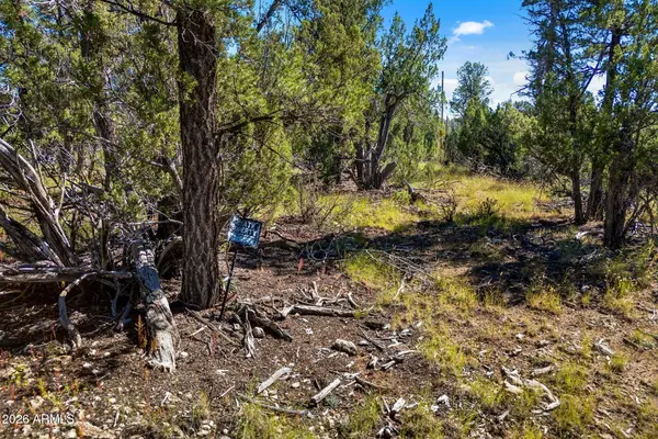 1948 Elk Road #029E, Heber, AZ 85928