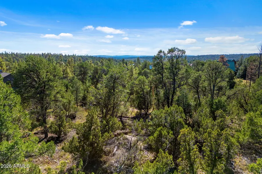 1948 Elk Road #029E, Heber, AZ 85928 - #3