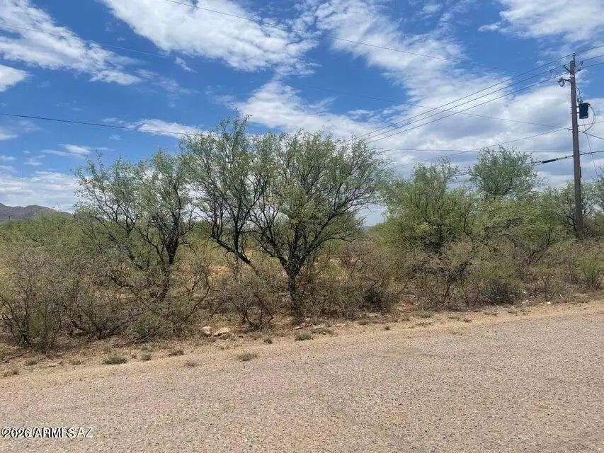101 Escocia Court #85, Rio Rico, AZ 85648 - #1