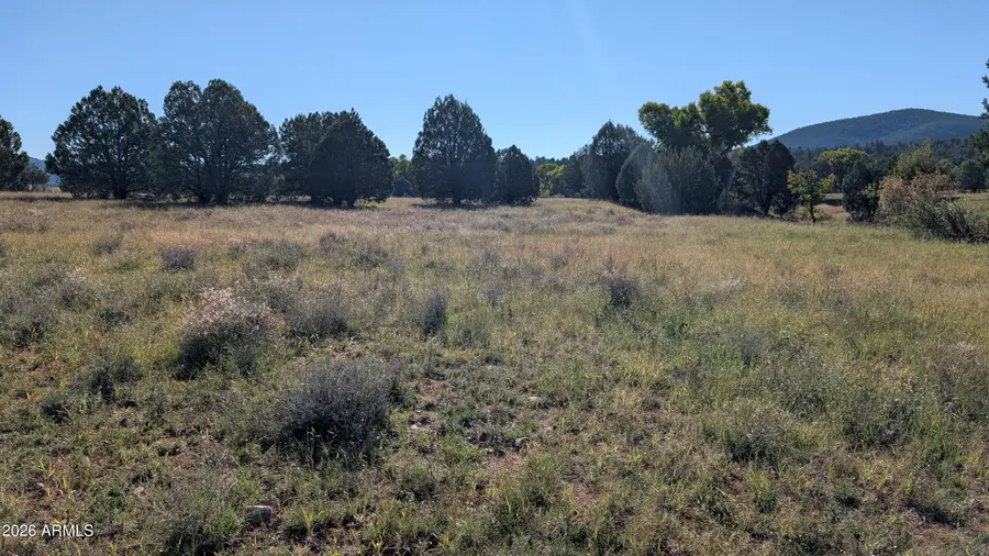 263 E Hazelwood Road #2, Young, AZ 85554 - #3