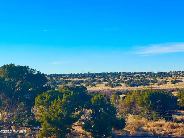 9747 Willis Hill Trl 40 Acres --, Snowflake, AZ 85937