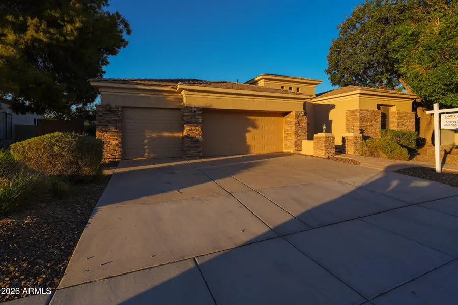 462 W Carob Drive, Chandler, AZ 85248 - #3