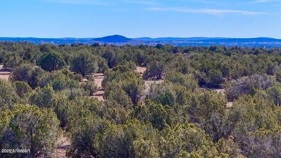 9023 Appaloosa Trl (lot A) 5 Acres --, Show Low, AZ 85901 - #3