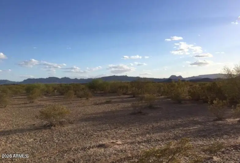 53064 E 60th Street, Salome, AZ 85348 - #2