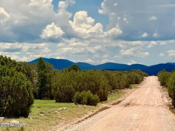 121 Co Rd 8051 --, Concho, AZ 85924