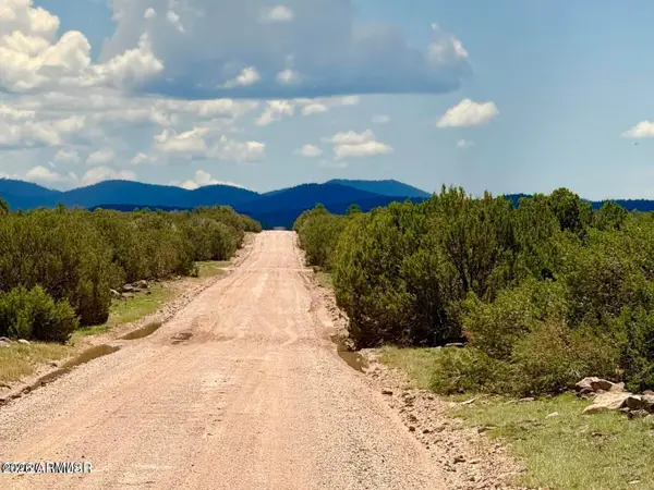 125 Co Rd 8051 --, Concho, AZ 85924