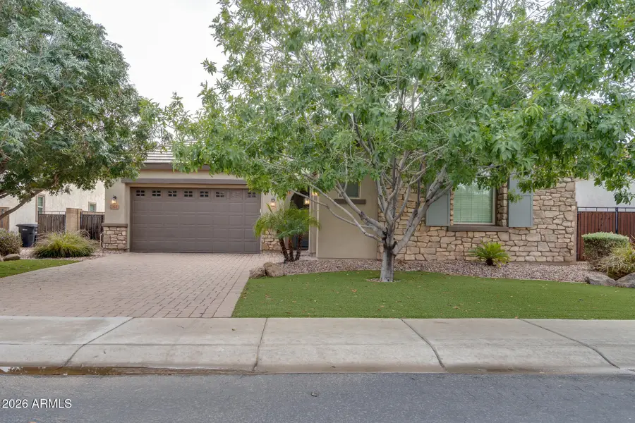 923 E Horseshoe Place, Chandler, AZ 85249 - #3