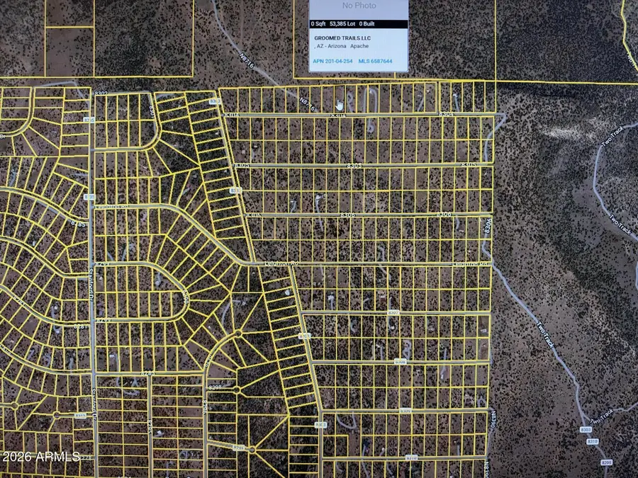 10 N Show Low Pines Avenue #254, Show Low, AZ 85901 - #2
