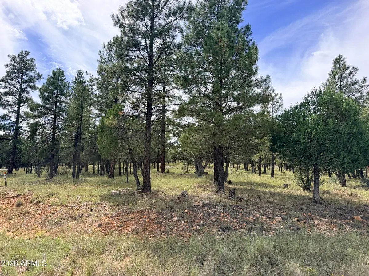 5206 Starlight Drive #166, Happy Jack, AZ 86024 - #1